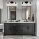 Binsly 3 Light 24 inch Coal Bath Vanity Light Wall Light